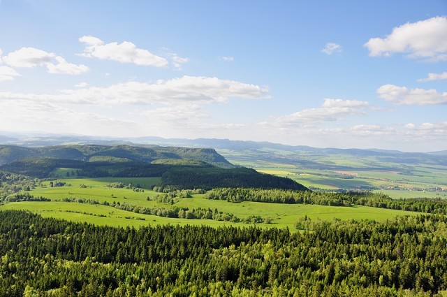 widok